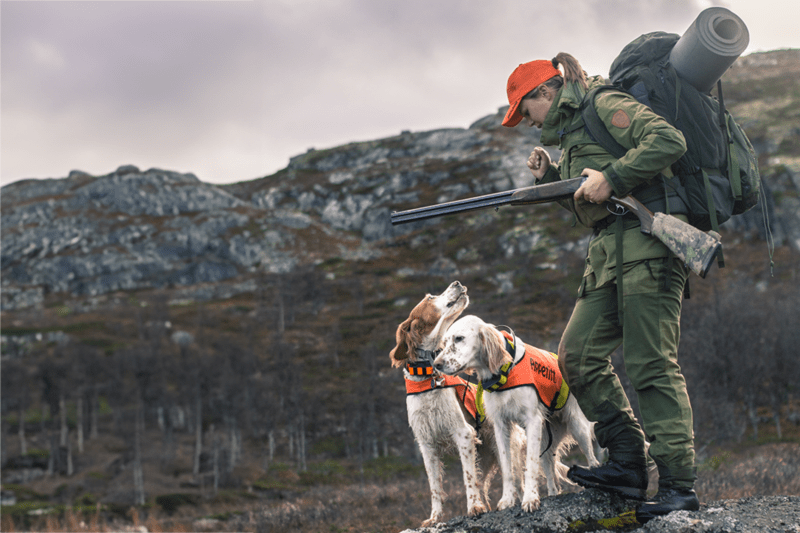 Kvinne i oransje caps og turklær med to hunder og hagle pa rypejakt