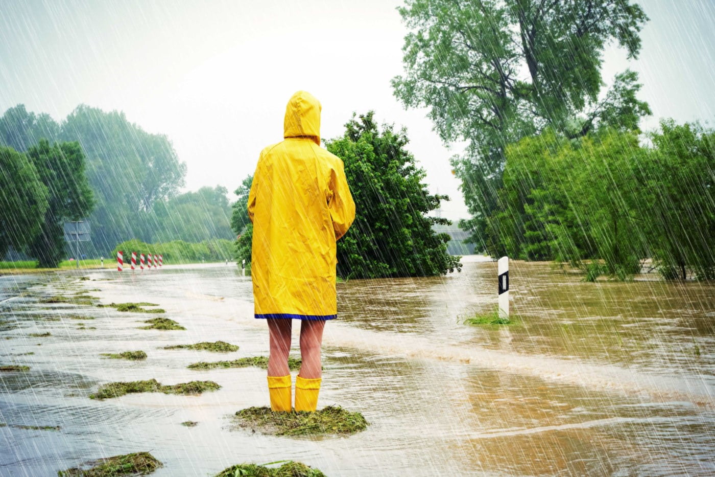 Et menneske i en gul regnjakke og shorts står på en liten flekk med gress omringet av vann