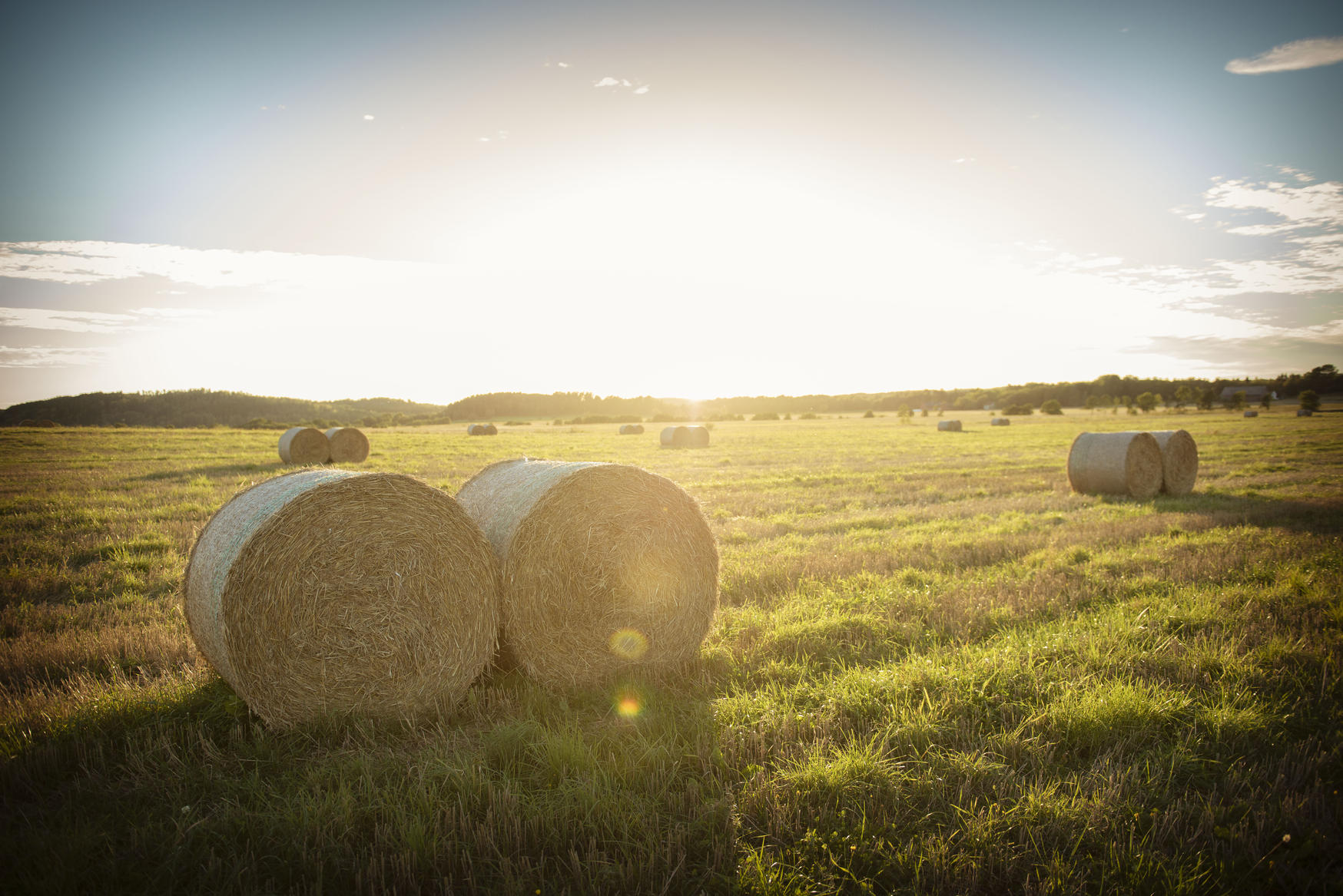 Solstråler på jorde med høyballer. foto